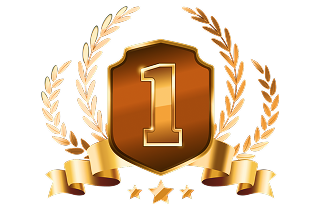 NO.1 Crawlspace & Basement dehumidifiers