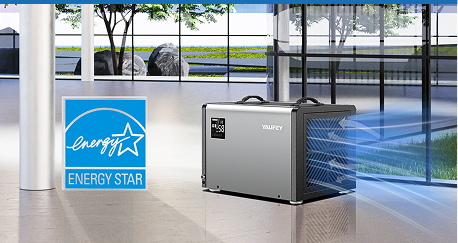 Efficiency with Responsibility