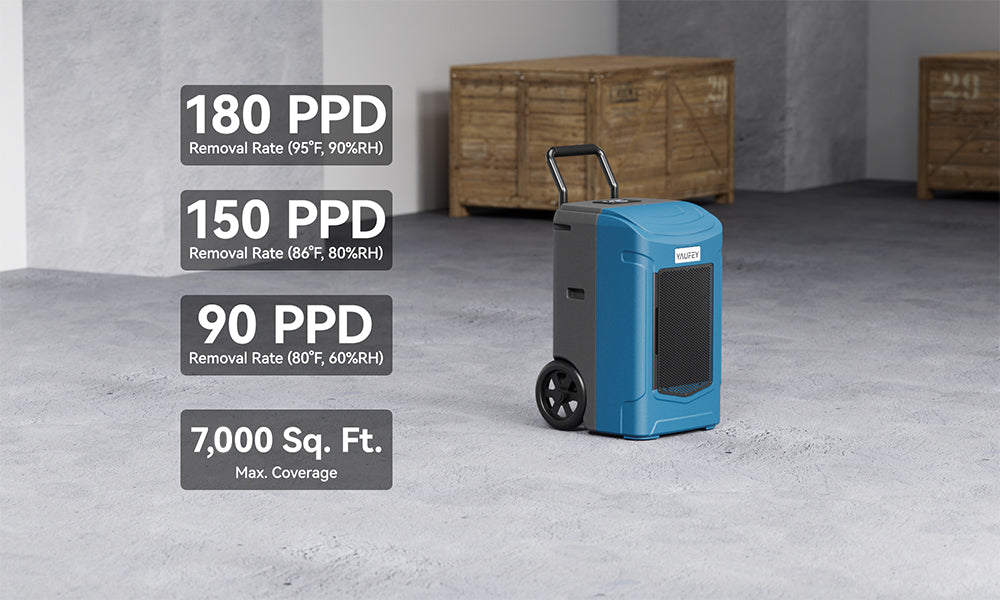 The intelligent dehumidifier with pump will smartly sense room humidity and control dehumidification to maintain preset humidity levels.