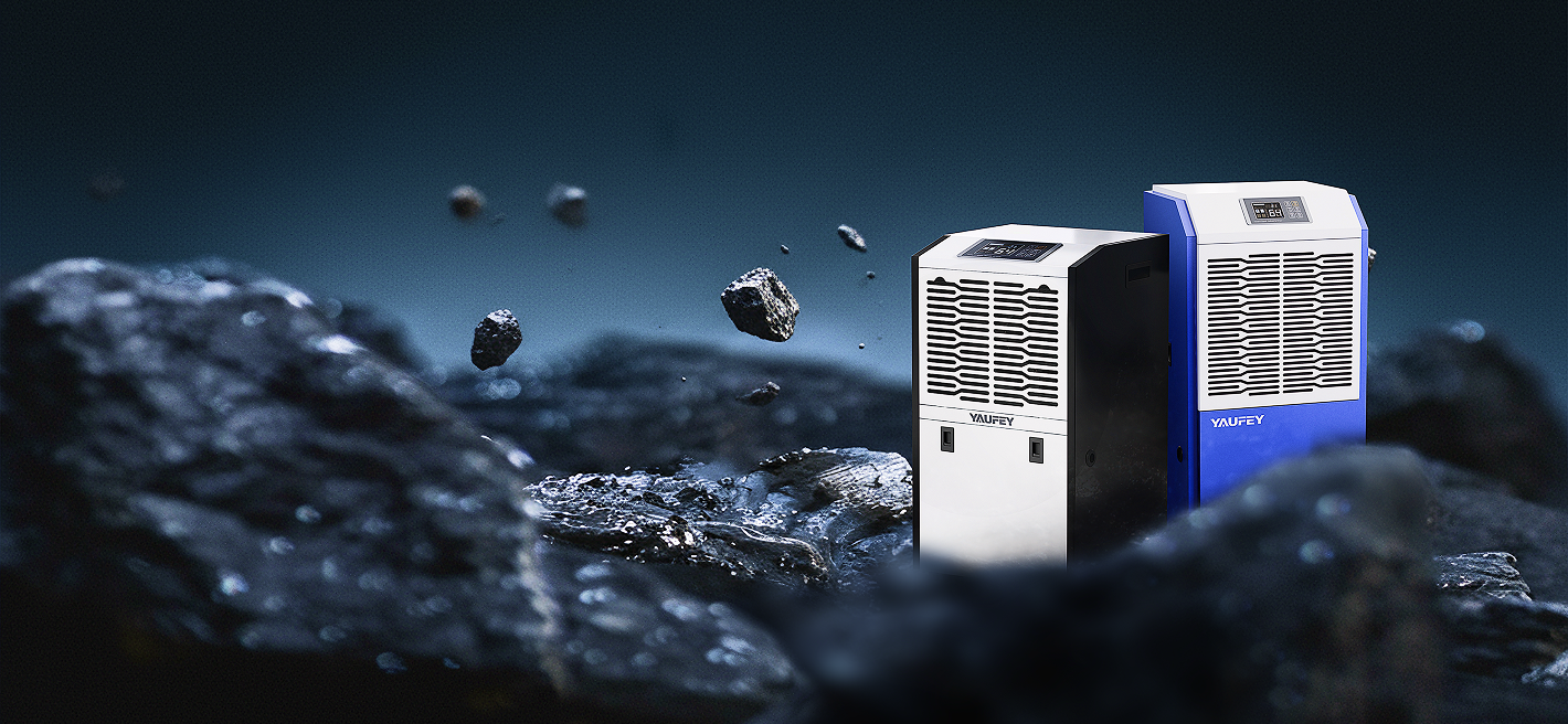 Introducing Our Latest