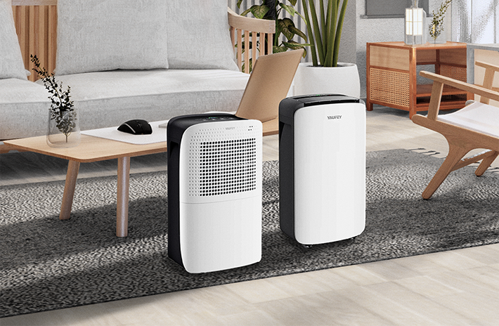The Beginning: Compact Home Dehumidifiers
